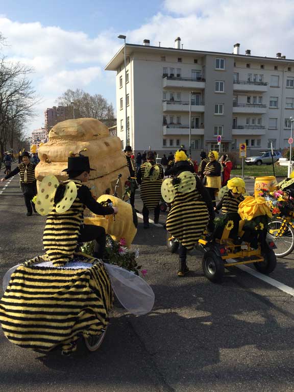 Karnevalsumzug in Strasbourg 2016