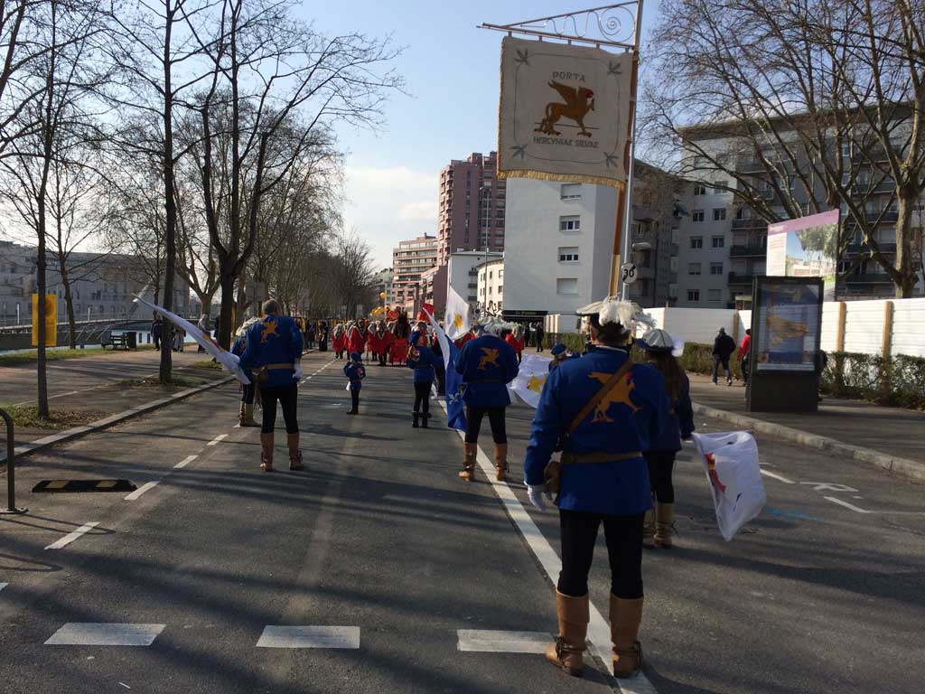 Karnevalsumzug in Strasbourg 2016
